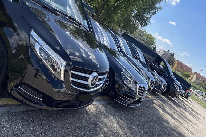 BaselAirport to Lucerne or Lucerne to BaselAirport PrivatTransfer - Meeting Point at Lucerne and How Transfers are Scheduled