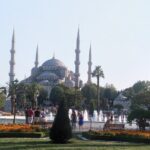 Basilica Cistern & Guided Tours in Istanbul - The Unique Features of the Basilica Cistern