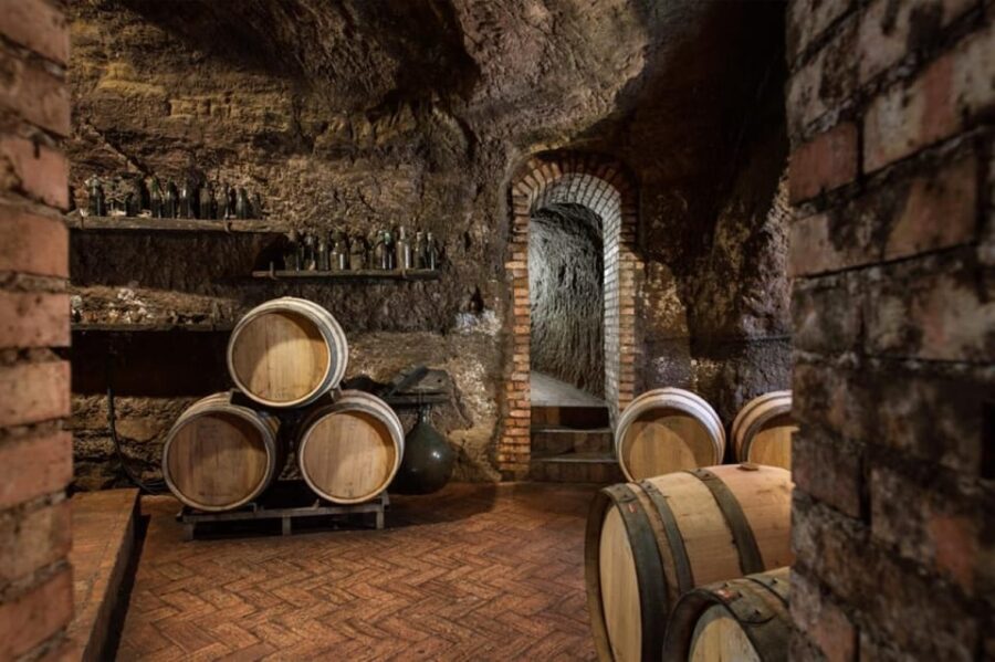 Basilicata: Discover volcanic tuff caves and taste excellent Lucanian wines - Tasting Four Lucanian Wines Paired with Local Delights
