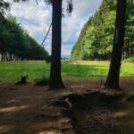 Battle of the Bulge & Gen Patton Private Tour from Brussels - Starting Point and Transportation Logistics from Brussels