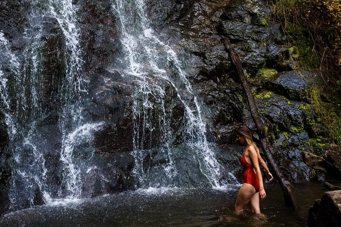 Batumi & Mtirala N.P. Hiking tour from Kutaisi - Cross into Mtirala National Park Using the Handmade Cable Car