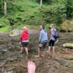 Batumi: Sweet Excursion and Mtirala Forest - Exploring Traditional and Unusual Beehives