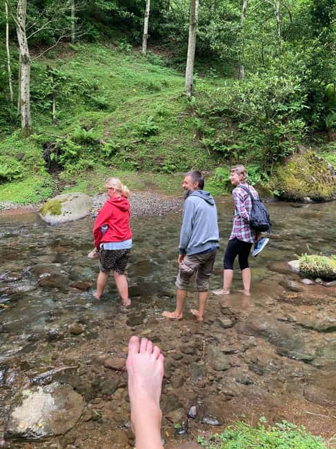 Batumi: Sweet Excursion and Mtirala Forest - Exploring Traditional and Unusual Beehives