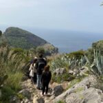 Bay of Ieranto Tour with Trekking Guide - Starting the Journey from Sorrento to the Bay of Ieranto