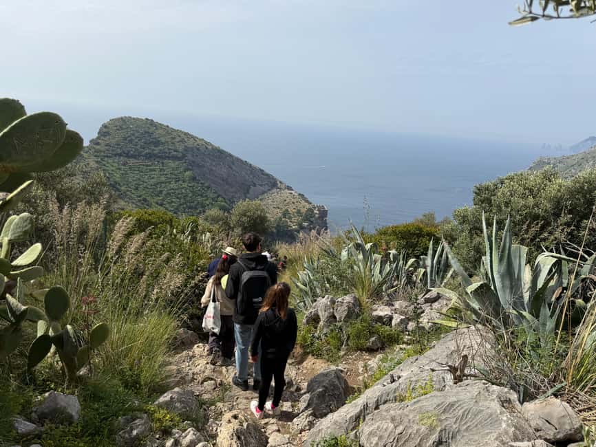 Bay of Ieranto Tour with Trekking Guide - Starting the Journey from Sorrento to the Bay of Ieranto