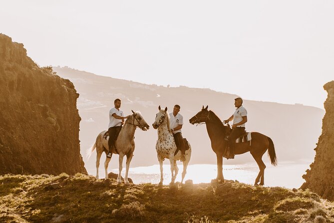 Beach gallop - horse riding Safari for experienced riders - Scenic Highlights: From Vineyard Trails to Cliffside Views
