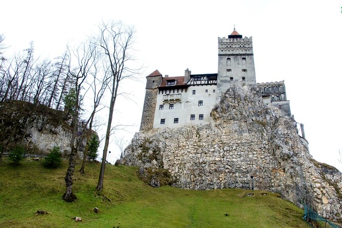 Bear Sanctuary and Bran Castle from Brasov - Exploring Bran Castle – Dracula’s Fortress