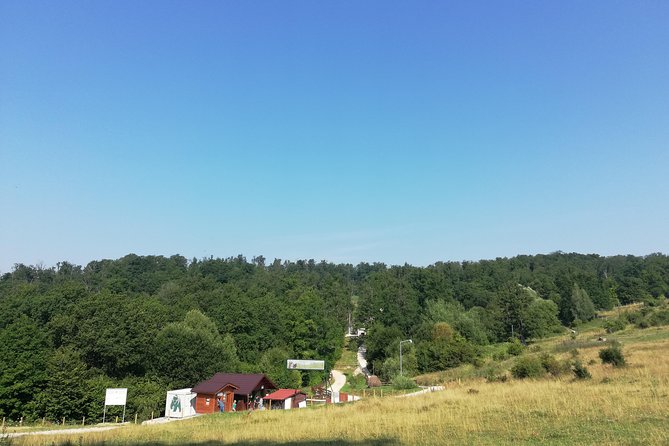 Bear Sanctuary and Dracula's Castle, 1-day Private Tour - Brasov’s Historic Center: A Walk Through Medieval Charm