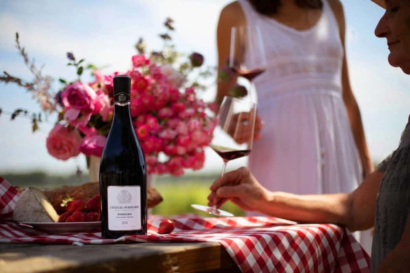 Beaune: Wine Tasting at Château de Pommard - The Château de Pommard: An Icon of Burgundy Wine