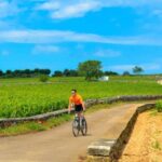 Beaune: Winery Tour by Bike with Wine Tasting - Cycling Through Beaune’s Iconic Vineyards and Small Villages