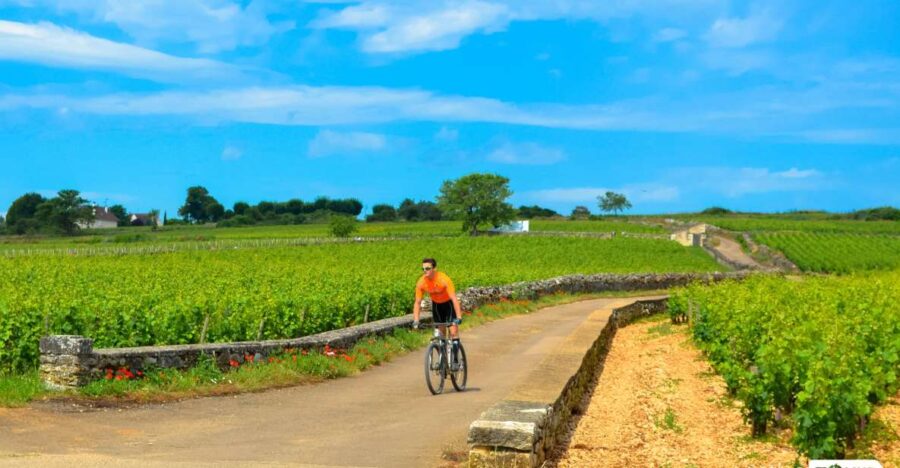 Beaune: Winery Tour by Bike with Wine Tasting - Cycling Through Beaune’s Iconic Vineyards and Small Villages