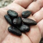 Become a chocolatier for a day, in Modica raw chocolate - Logistics and Meeting Details in Modica