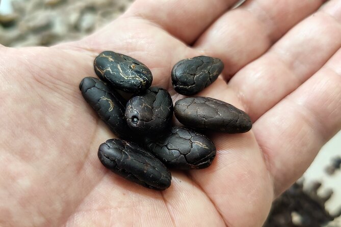 Become a chocolatier for a day, in Modica raw chocolate - Logistics and Meeting Details in Modica