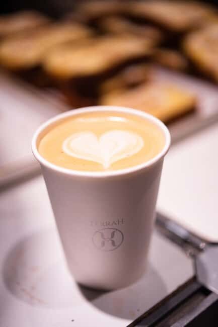Become a Latte Art Master in the heart of Paris @ Terrah Coffee Shop - The Basics Covered in the Workshop