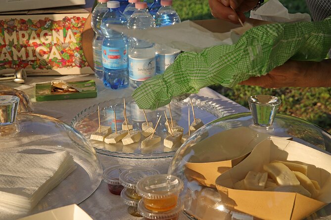 Beekeeping Farm Tour and Tasting Experience in Lazise - Honey and Jam Tasting: A Showcase of Local Flavors