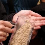 Beer and Brewery Tour in Munich - Exploring Munich’s Most Famous Beer Hall: Hofbräuhaus