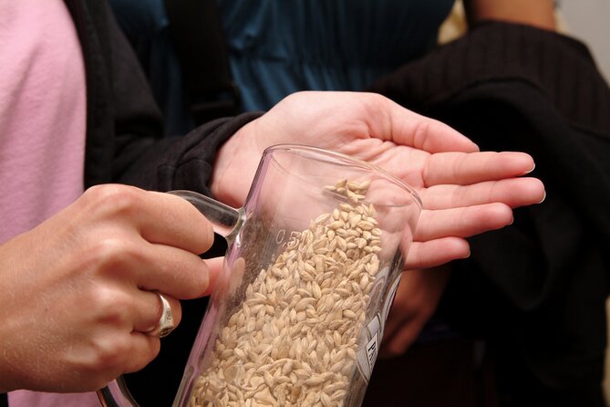 Beer and Brewery Tour in Munich - Exploring Munich’s Most Famous Beer Hall: Hofbräuhaus