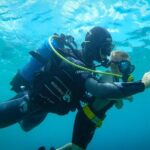 Beginner Diving Experience in Ligaria Bay - What Makes the Ligaria Bay Dive Stand Out