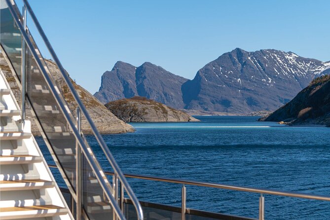 Beiarfjord & Saltstraumen Cruise with Guide - The Scenic Route from Bodø to Beiarfjorden