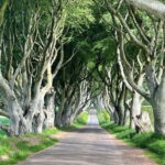 Belfast: Game of Thrones and Giants Causeway Private Tour - Starting Point and Convenient Belfast Pickups
