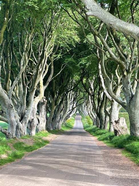 Belfast: Game of Thrones and Giants Causeway Private Tour - Starting Point and Convenient Belfast Pickups
