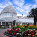 Belfast Private Walking Tour - Starting Point at The Big Fish Mosaic on Donegall Quay