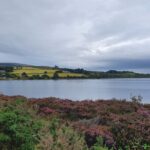 Belfast to Dublin Airport Private Transport up to 8 passengers - Flexible Duration and Pickup Arrangements