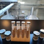 Belgrade Beer tour with beer tasting and local craft brewery - Starting Point and Transportation Details in Belgrade