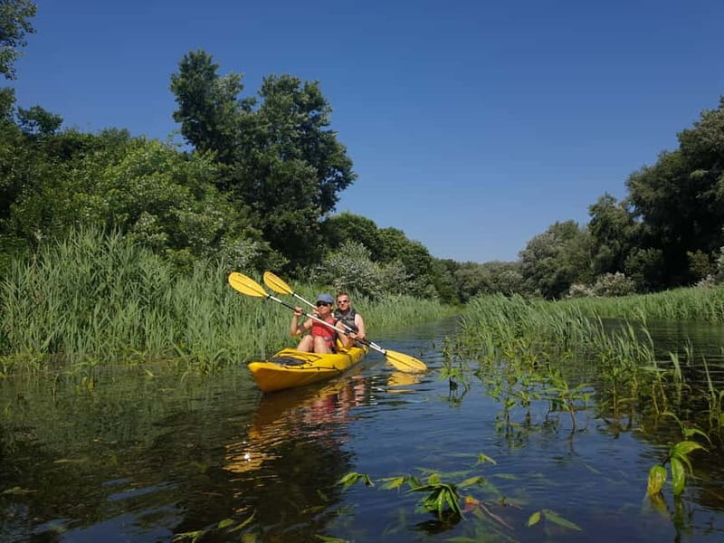 Belgrade: Great War Island Kayak Adventure - Starting Point and End Location in New Belgrade