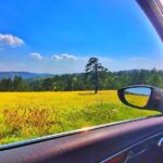 Belgrade to Zlatibor private transfer by car - Flexible Departure Times and Custom Stops