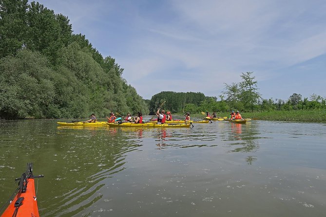 Belgrade War Island Kayak Tour - Navigating the Natural and Military History of Great War Island