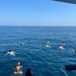 Benagil Caves & Coast from Portimão on an Eco-Friendly Catamaran - Visiting the Fort of São João do Arade