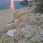 Benagil E-bike tour - Starting Point Near the Fishing Village of Benagil