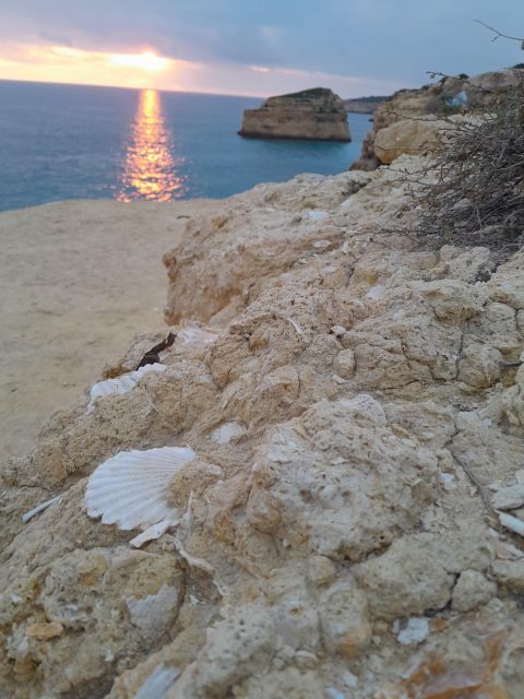 Benagil E-bike tour - Starting Point Near the Fishing Village of Benagil
