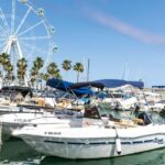 Benalmádena: Alquiler de barcos sin licencia Costa del Sol - Exploring Costa del Sol’s Marine Life and Dolphin Watching