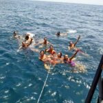 Benalmádena: Boat ride and swim in the sea with a drink - Scenic Views and Marine Wildlife Along the Benalmádena Coast