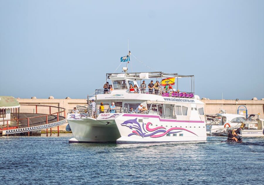 Benalmadena: Dolphin Watching Boat Tour - Start Point and Easy Access in Benalmadena