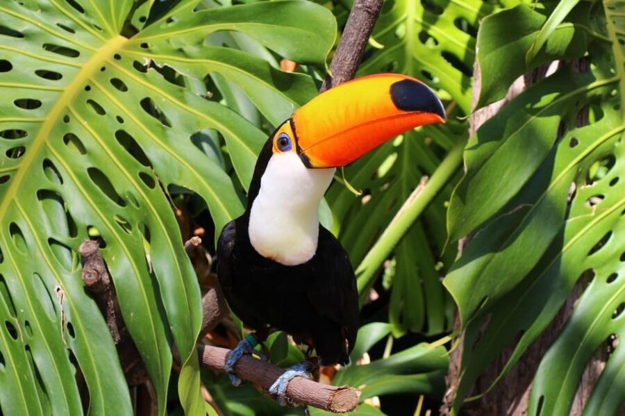 Benalmadena: Selwo Marina Admission Ticket - Location and Access in Benalmádena