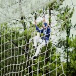 Benidorm: TirolinasGo Alicante Forestal Park - Circuit Options: Family vs. Adventure