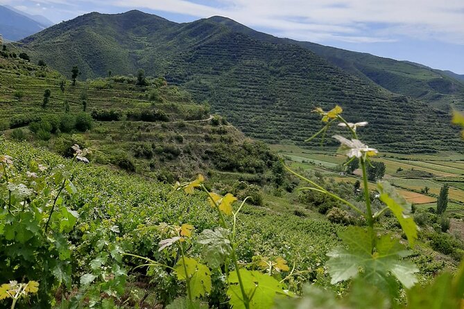 Berat 4x4 Off-Road and Vineyard Wine Tasting - Visiting Malinat Village: A Hub of Vineyards and Tradition