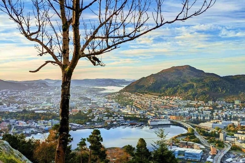 Bergen Like a Local: Culture, Views, and the Stave Church - Mount Fløyen: The Viewpoint and Funicular Ride
