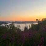 Bergen Magical Nature Tour | ViFlowExperience - Discover Bergen’s Hidden Trails and Neighborhoods