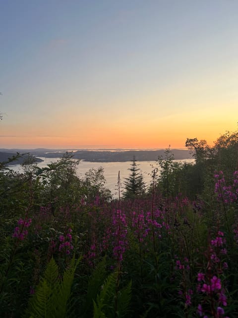 Bergen Magical Nature Tour | ViFlowExperience - Discover Bergen’s Hidden Trails and Neighborhoods