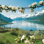 Bergen: Private Full-Day Roundtrip to Hardangerfjord with cruise - Hardangerfjord Cruise and Its Unique Perspectives
