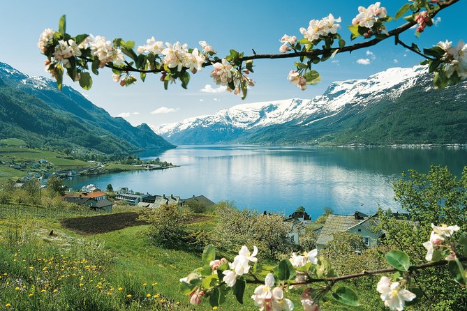 Bergen: Private Full-Day Roundtrip to Hardangerfjord with cruise - Hardangerfjord Cruise and Its Unique Perspectives