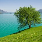 Bergen: Self-Guided Roundtrip (Sognefjord Cruise 5h & Flamsbana) - Sognefjord Cruise: The 5-Hour Waterway Journey