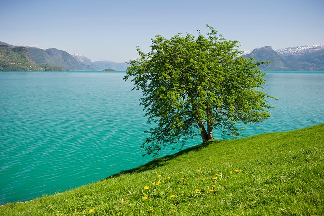 Bergen: Self-Guided Roundtrip (Sognefjord Cruise 5h & Flamsbana) - Sognefjord Cruise: The 5-Hour Waterway Journey