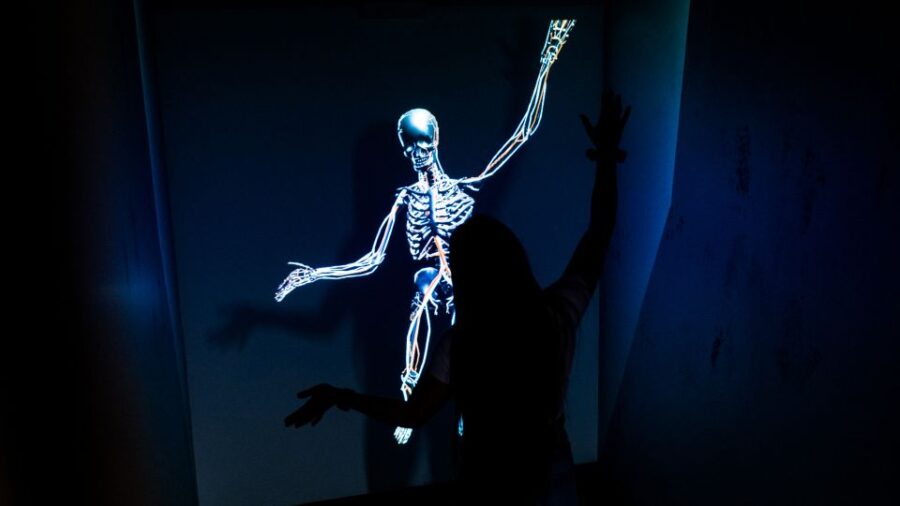 Berlin: Interactive DeJa Vu Museum Entrance Ticket - Exploring the DeJa Vu Museum in Berlin