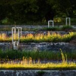 Berlin: Photo course Landschafts- & Naturfotografie - Learning How to Use Light and Composition Effectively