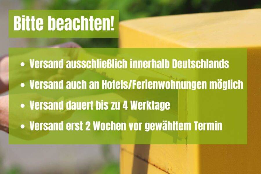 Berlin Prenzlauer Berg: Scavenger Hunt Self-Guided Tour - How the Tour Begins: Shipping and Starting Your Adventure